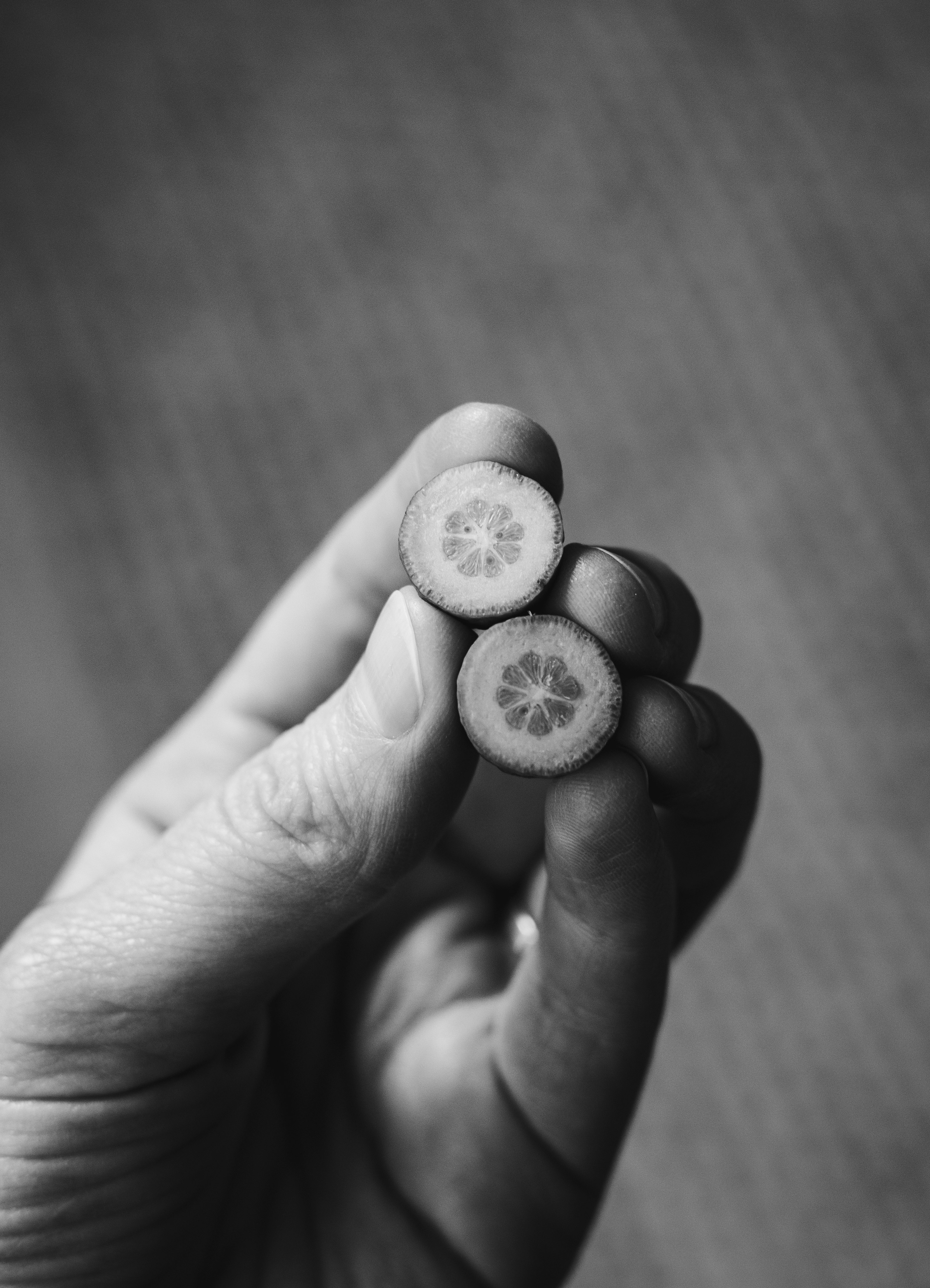 grayscale photo of person holding round coin